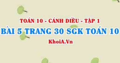 Bài 5 trang 30 SGK Toán 10 tập 1 Cánh Diều